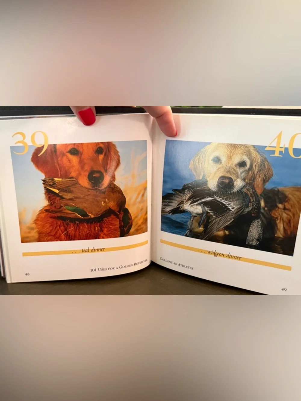 3 Dog Books/Bookmark~Love of Goldens, 101 Uses for a Golden, What Dogs Teach Us